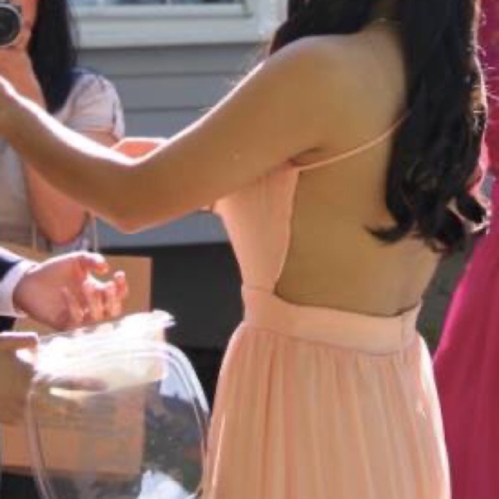 WORN ONCE - Lulu’s Rooftop Garden Peach Backless Maxi - Picture 2 of 8